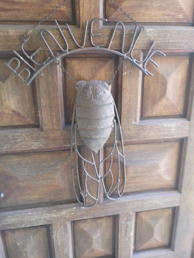 Chambre D'Hote Saint Remy Aramon Ngoại thất bức ảnh